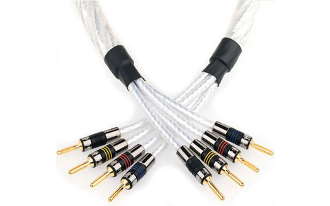 QED Signature GNSSBW/30 Genesis Bi-Wire Kabel Głośnikowy