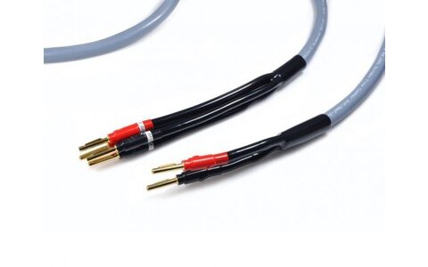 Melodika MDBW415G Konfekcjonowany Przewód głośnikowy Bi-Wiring
