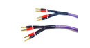 Melodika MDBA41515 Kable Głośnikowe Purple Rain 