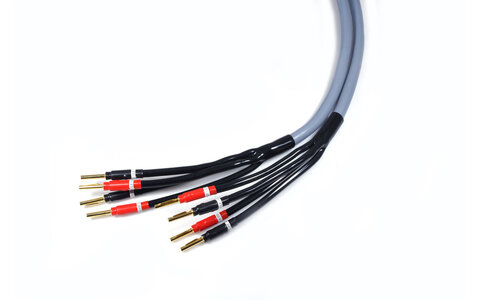 Melodika MDBW41550G Kable Głośnikowe Purple Rain Gunmetal 