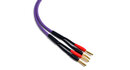Melodika MDSC4025 Kable Głośnikowe Purple Rain 