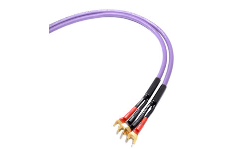 Melodika MDSC4020s Kable Głośnikowe Purple Rain