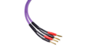 Melodika MDSC2560 Kable Głośnikowe Purple Rain