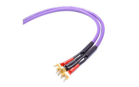 Melodika MDSC2520s Kable Głośnikowe Purple Rain