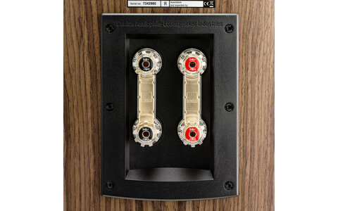 Dali Rubicon 8 Orzech Kolumny Podłogowe