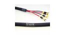 Kabel głośnikowy Bi-Wire Purist Audio Design VENUSTAS DIAMOND