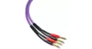 Melodika MDSC1575 Kable Głośnikowe Purple Rain 2x1,5mm2 7,5m