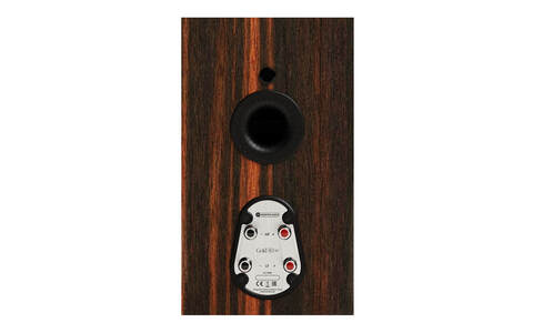 Monitor Audio Gold 50 6G Heban Tył