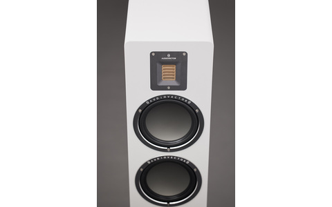 Kolumny Podłogowe Audiovector QR5 SE