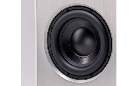 Subwoofer Wilson Audio Submerge