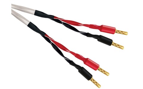 Zakonfekcjonowany Kabel Głośnikowy Wireworld Luna 10 LUS 2,0 m