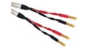 Zakonfekcjonowany Kabel Głośnikowy Wireworld Solstice 10 SOS 3,0m